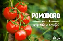 Pomodoro: proprietà, benefici e controindicazioni