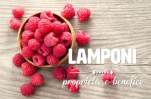 Lamponi: proprietà, benefici e controindicazioni