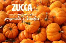 Zucca: proprietà, benefici e controindicazioni