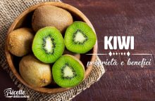 Kiwi: proprietà, benefici e controindicazioni