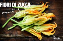 Fiori di zucca: proprietà, benefici e controindicazioni