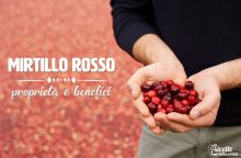 Mirtillo rosso: proprietà, benefici e controindicazioni