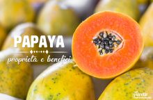 Papaya