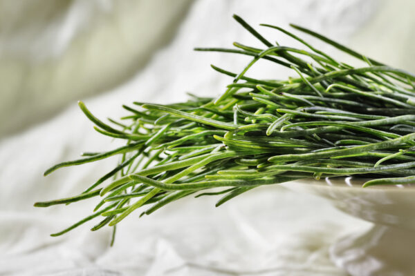 C’è una verdura che cresce tra marzo e maggio, e che tutti chiamano barba dei frati.  Cos’è e come si cucina