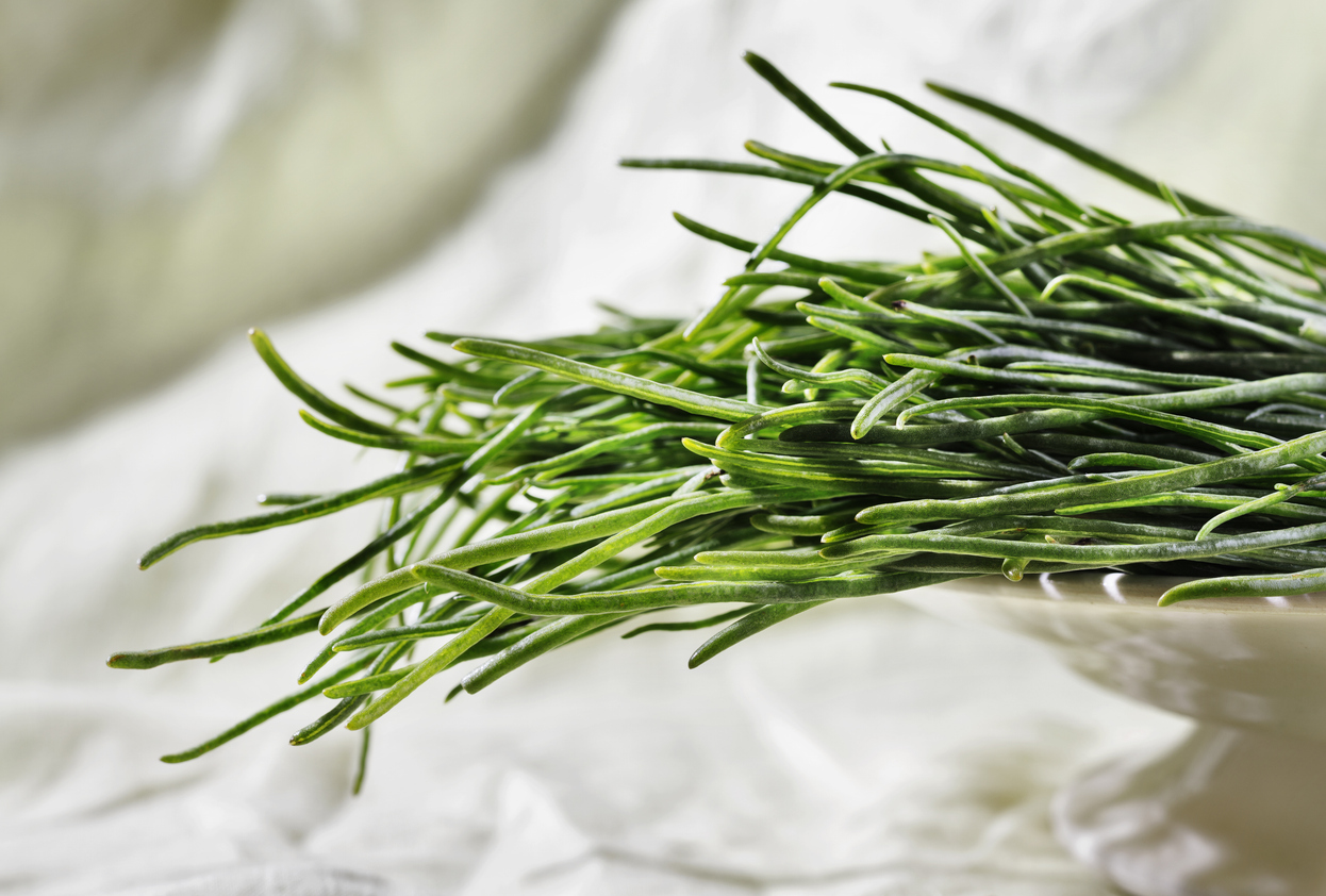 C Una Verdura Che Cresce Tra Marzo E Maggio E Che Tutti Chiamano Barba Dei Frati Cos E