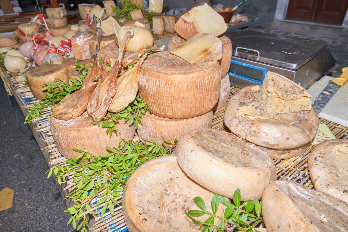 Casu Marzu e formaggi sardi