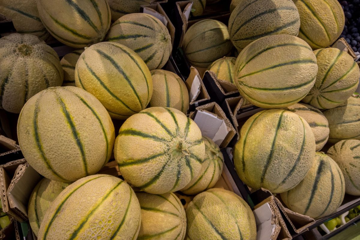 Banco di meloni arancioni, o meloni cantalupo