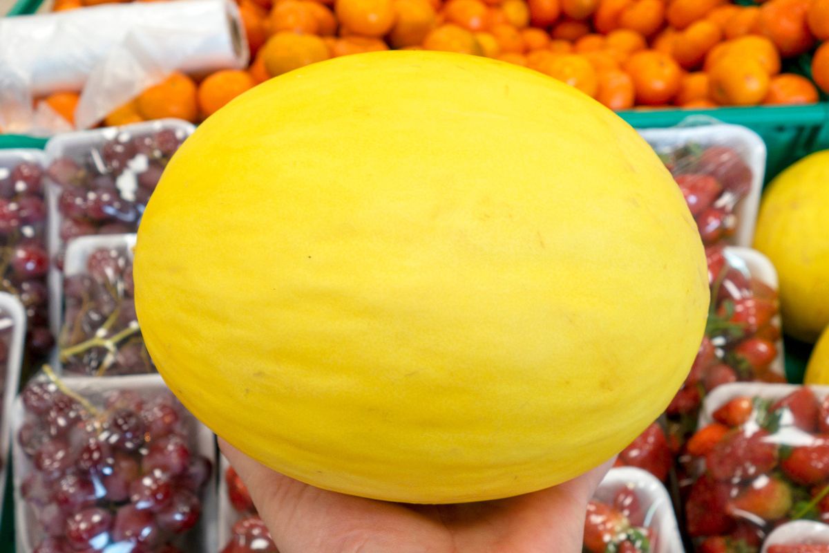 Melone giallo o melone bianco, tenuto in mano al mercato