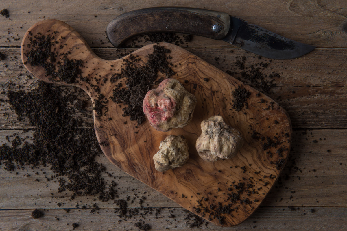 Tartufo bianco di Alba su un tagliere di legno, ancora sporco di un po' di terriccio