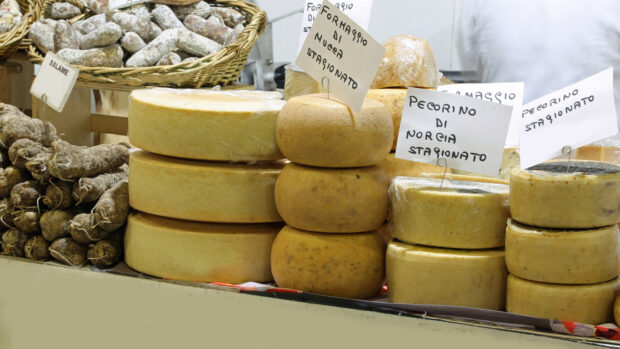 Caciottone di Norcia, formaggi vari