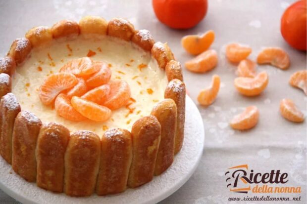 Torta Charlotte con savoiardi, alla frutta (mandarini)