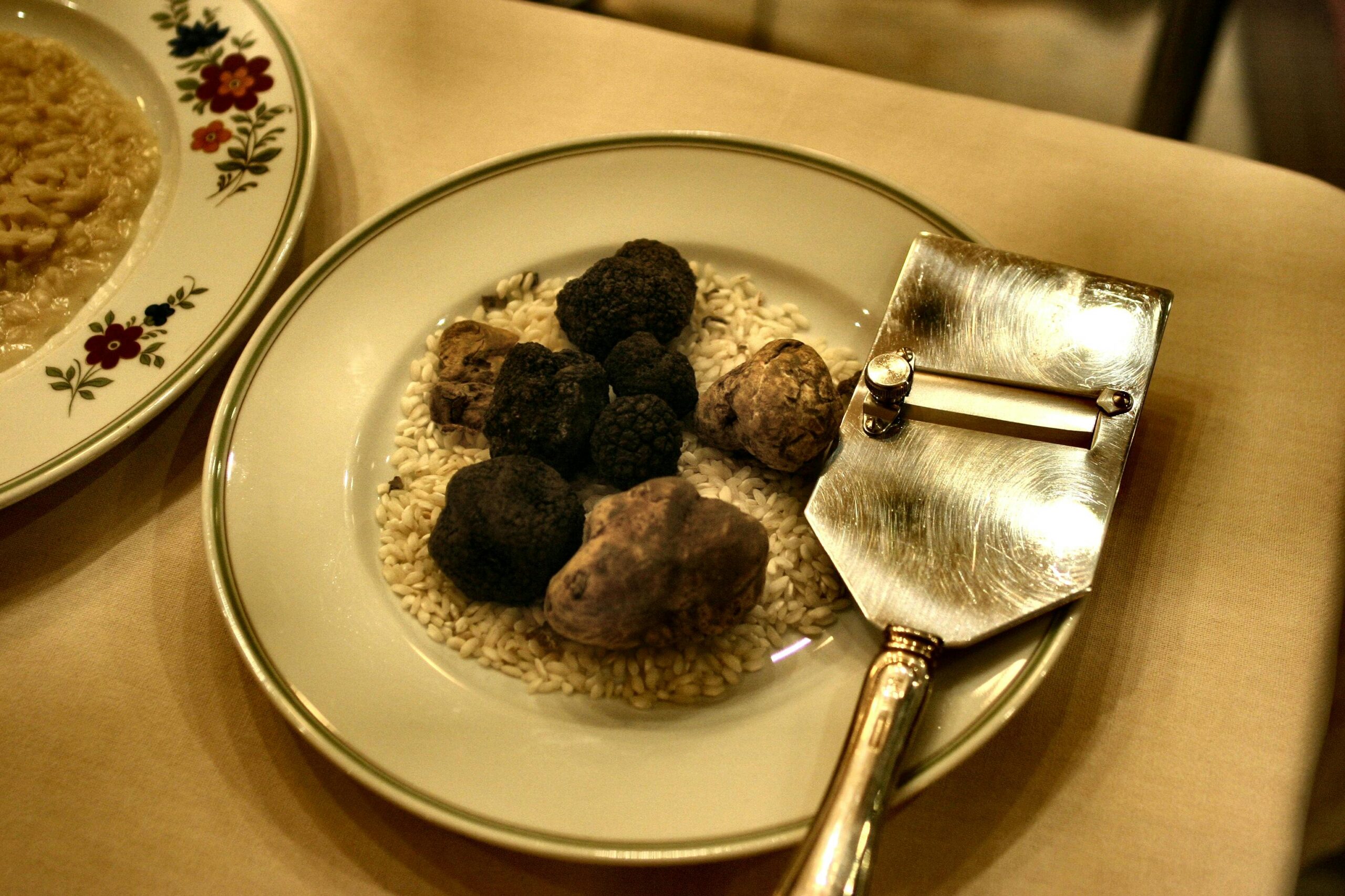 Come scegliere il tartufo bianco, freschezza