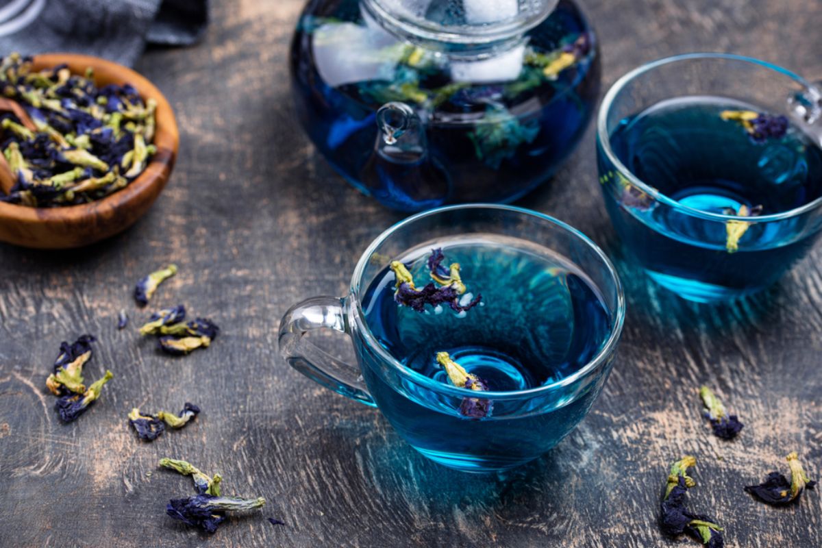 Butterfly Pea Flower Tea, tisana naturale blu